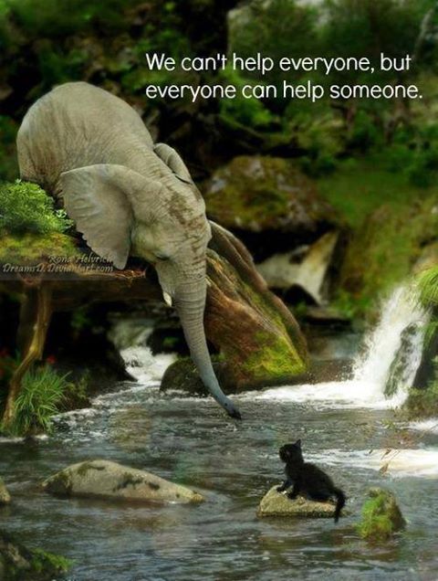 Never look down on somebody unless you're helping him up... 